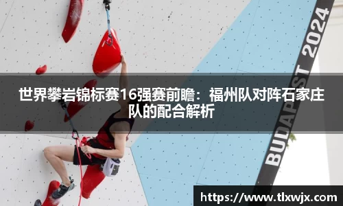 世界攀岩锦标赛16强赛前瞻：福州队对阵石家庄队的配合解析