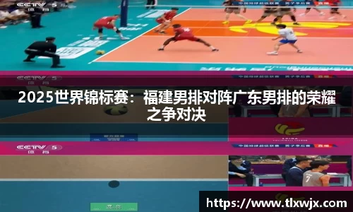 2025世界锦标赛：福建男排对阵广东男排的荣耀之争对决