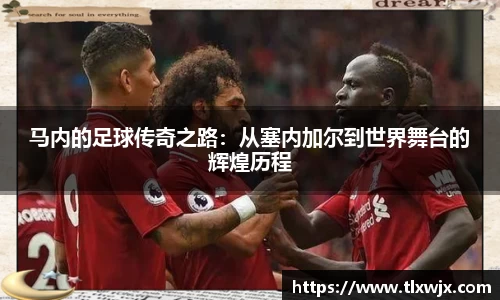 乐动LDSports体育官网